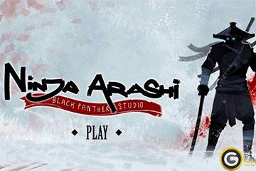 Ninja Arashi 3