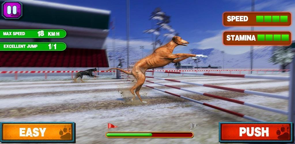 CRAZY DOG RACING 3D