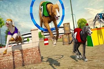 CRAZY DOG RACING 3D