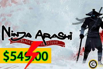 Ninja Arashi 3